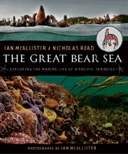 greatbearsea_214